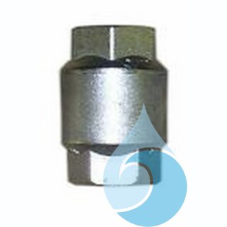 Rückschlagventil 1" aus Messing / vernickelt für C-Class Connect
